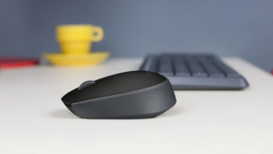 M170 Wireless Mouse