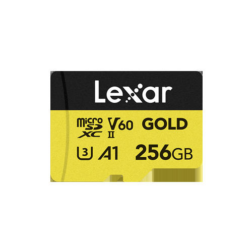 Lexar LMSGOLD256G-BNNNG 256GB — vue produit — livraison Global Zone à Tanger