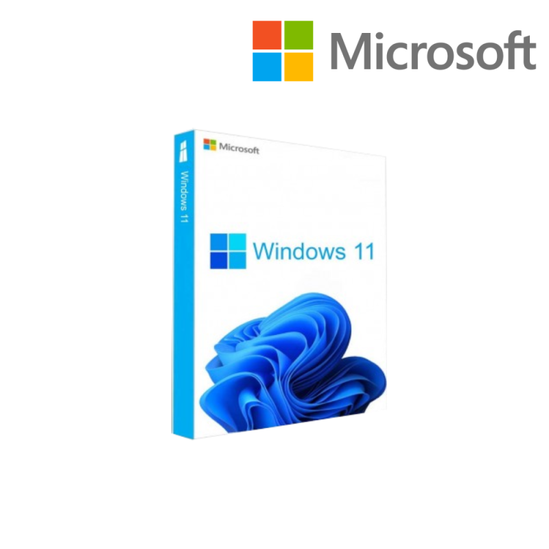 Logiciel Microsoft Win Pro 11 64Bit French 1pk DSP OEI DVD