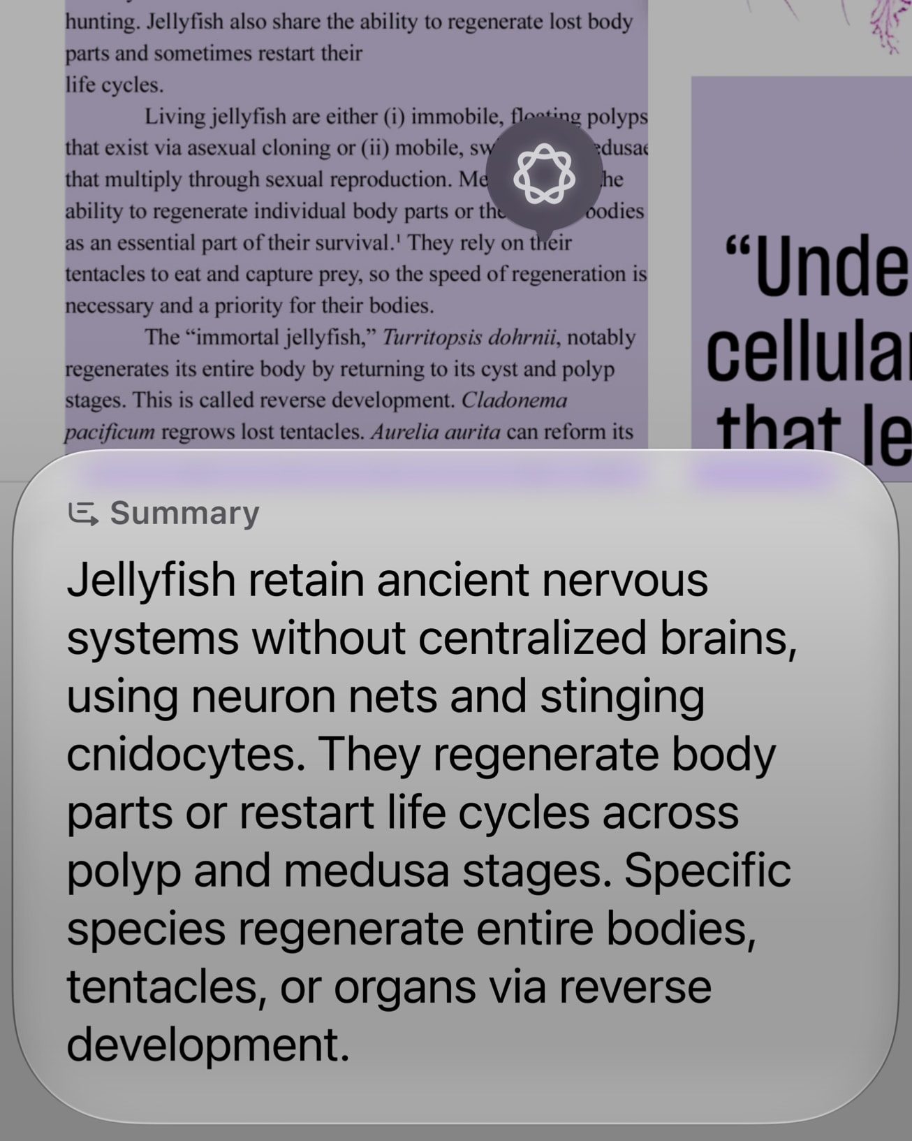 Siri AI et le contexte à l’écran, illustration Apple pour iOS 27.2